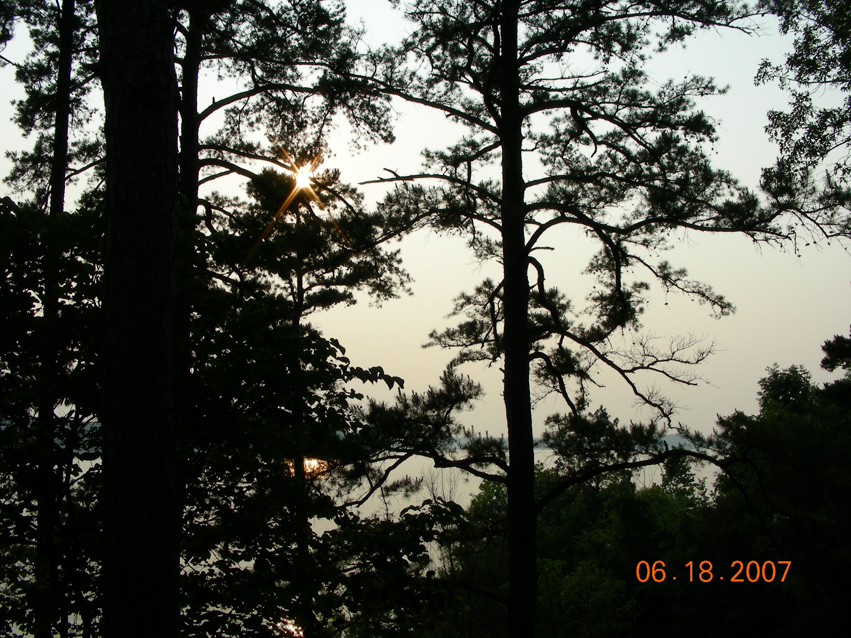 ./2007/Kerr Lake Eagles Nest/June18/DSCN1258.JPG